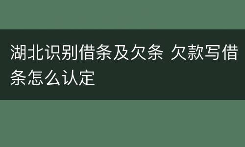 湖北识别借条及欠条 欠款写借条怎么认定