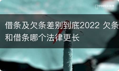 借条及欠条差别到底2022 欠条和借条哪个法律更长