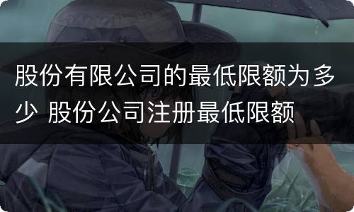 股份有限公司的最低限额为多少 股份公司注册最低限额