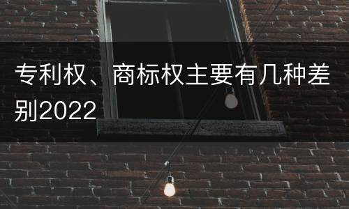 专利权、商标权主要有几种差别2022