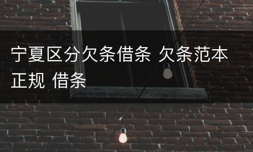 宁夏区分欠条借条 欠条范本 正规 借条