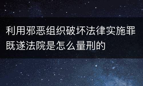 利用邪恶组织破坏法律实施罪既遂法院是怎么量刑的