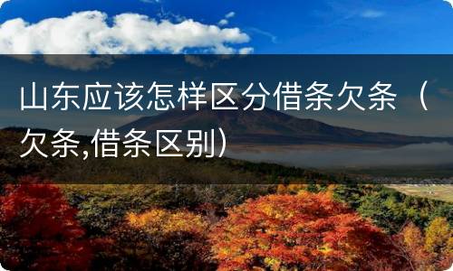 山东应该怎样区分借条欠条（欠条,借条区别）
