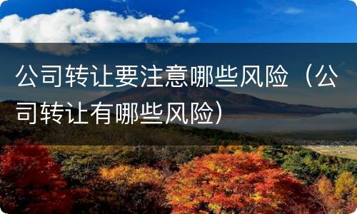 公司转让要注意哪些风险（公司转让有哪些风险）
