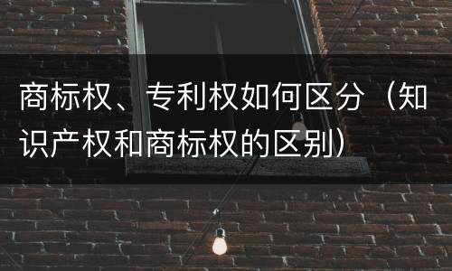 商标权、专利权如何区分（知识产权和商标权的区别）