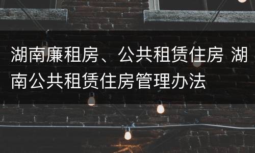 湖南廉租房、公共租赁住房 湖南公共租赁住房管理办法
