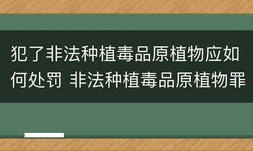 犯了非法种植毒品原植物应如何处罚 非法种植毒品原植物罪情节严重的三种情况