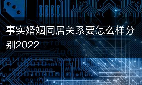 事实婚姻同居关系要怎么样分别2022