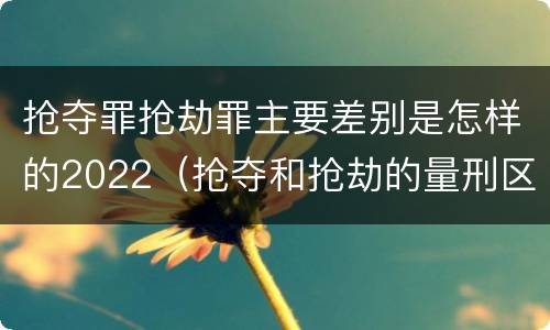 抢夺罪抢劫罪主要差别是怎样的2022（抢夺和抢劫的量刑区别）