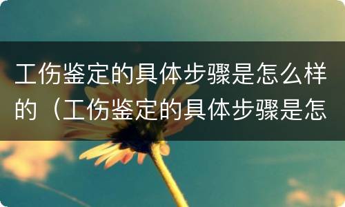 工伤鉴定的具体步骤是怎么样的（工伤鉴定的具体步骤是怎么样的呢）