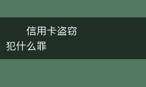 　　信用卡盗窃犯什么罪