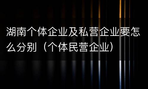 湖南个体企业及私营企业要怎么分别（个体民营企业）