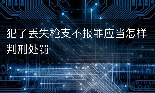 犯了丢失枪支不报罪应当怎样判刑处罚