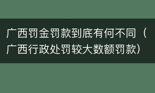 广西罚金罚款到底有何不同（广西行政处罚较大数额罚款）