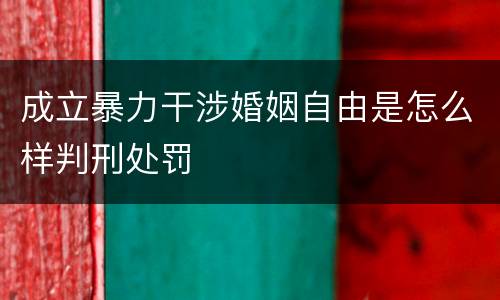 成立暴力干涉婚姻自由是怎么样判刑处罚