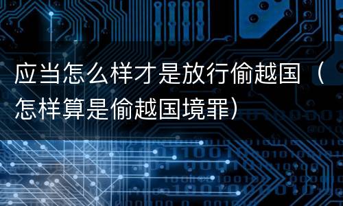 应当怎么样才是放行偷越国（怎样算是偷越国境罪）