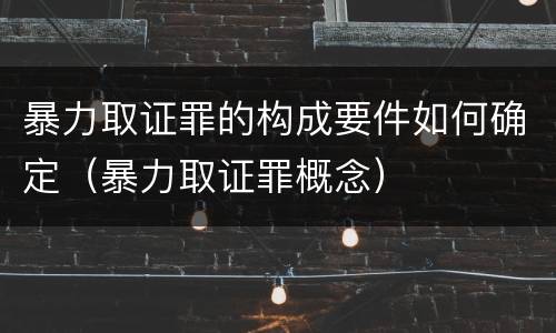 暴力取证罪的构成要件如何确定（暴力取证罪概念）
