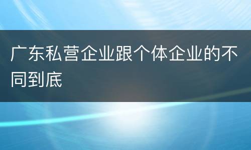 广东私营企业跟个体企业的不同到底