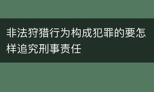 非法狩猎行为构成犯罪的要怎样追究刑事责任