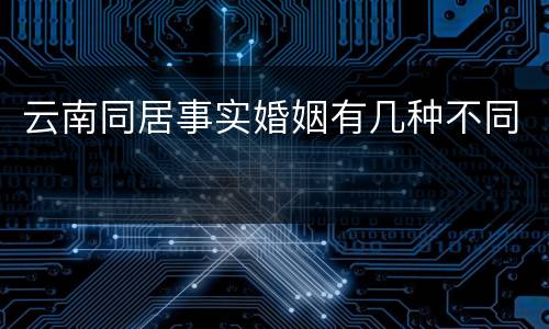 云南同居事实婚姻有几种不同