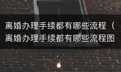 离婚办理手续都有哪些流程（离婚办理手续都有哪些流程图）