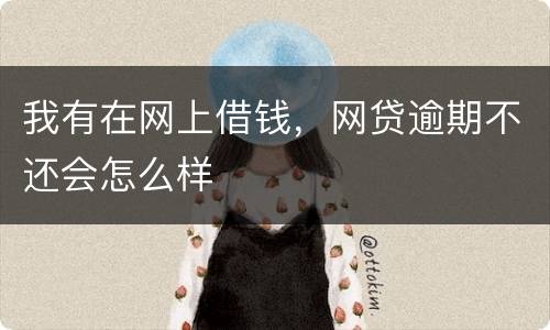 我有在网上借钱，网贷逾期不还会怎么样