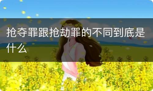 抢夺罪跟抢劫罪的不同到底是什么