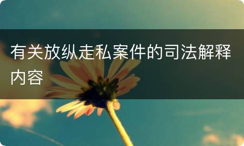 有关放纵走私案件的司法解释内容