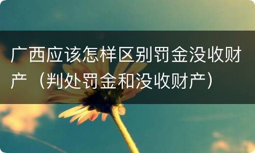 广西应该怎样区别罚金没收财产（判处罚金和没收财产）