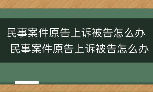 民事案件原告上诉被告怎么办 民事案件原告上诉被告怎么办呢
