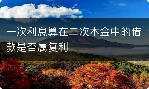 一次利息算在二次本金中的借款是否属复利