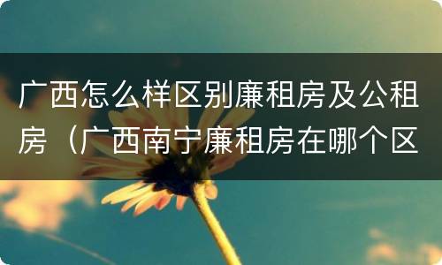 广西怎么样区别廉租房及公租房（广西南宁廉租房在哪个区域）