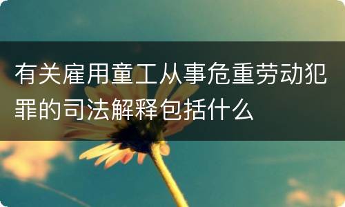 有关雇用童工从事危重劳动犯罪的司法解释包括什么