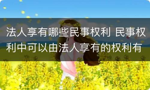 法人享有哪些民事权利 民事权利中可以由法人享有的权利有哪些