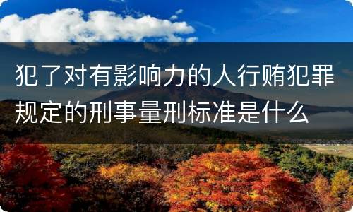 犯了对有影响力的人行贿犯罪规定的刑事量刑标准是什么