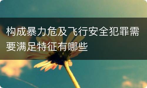 构成暴力危及飞行安全犯罪需要满足特征有哪些