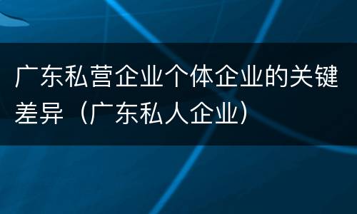 广东私营企业个体企业的关键差异（广东私人企业）