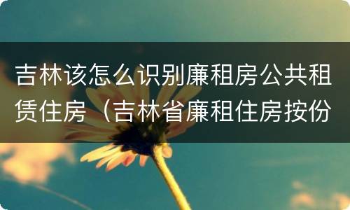 吉林该怎么识别廉租房公共租赁住房（吉林省廉租住房按份共有产权实施管理办法）
