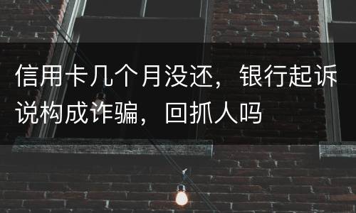 信用卡几个月没还，银行起诉说构成诈骗，回抓人吗
