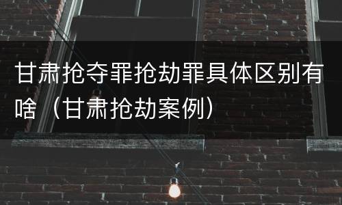 甘肃抢夺罪抢劫罪具体区别有啥（甘肃抢劫案例）