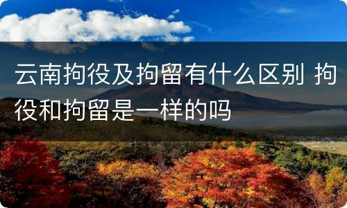 云南拘役及拘留有什么区别 拘役和拘留是一样的吗