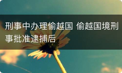 刑事中办理偷越国 偷越国境刑事批准逮捕后