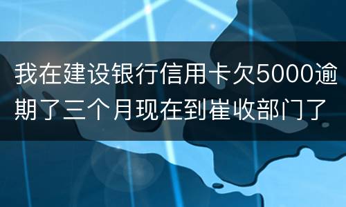 我在建设银行信用卡欠5000逾期了三个月现在到崔收部门了他们要起诉我应该怎么办
