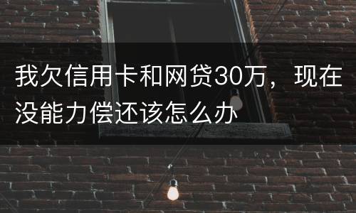 我欠信用卡和网贷30万，现在没能力偿还该怎么办