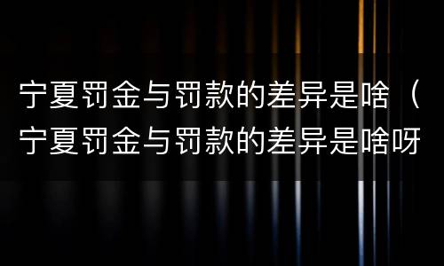 宁夏罚金与罚款的差异是啥（宁夏罚金与罚款的差异是啥呀）