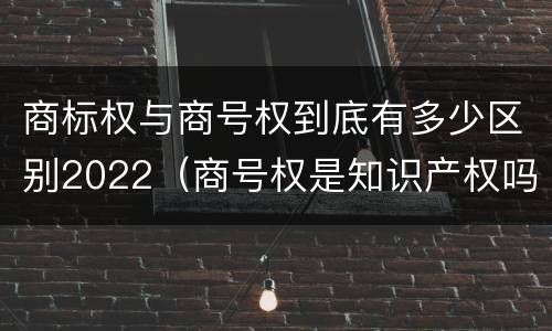 商标权与商号权到底有多少区别2022（商号权是知识产权吗）