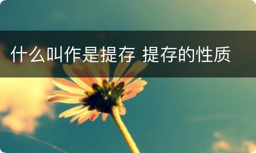 什么叫作是提存 提存的性质
