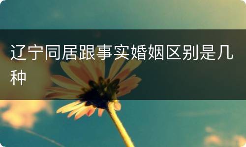 辽宁同居跟事实婚姻区别是几种