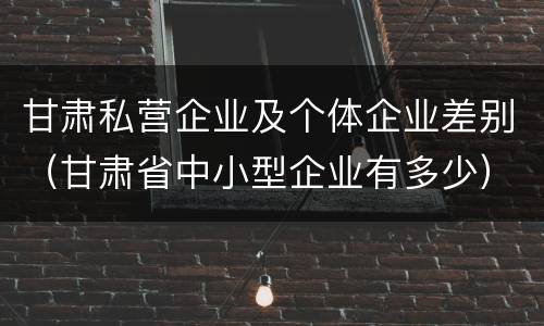 甘肃私营企业及个体企业差别（甘肃省中小型企业有多少）