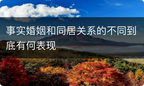 事实婚姻和同居关系的不同到底有何表现